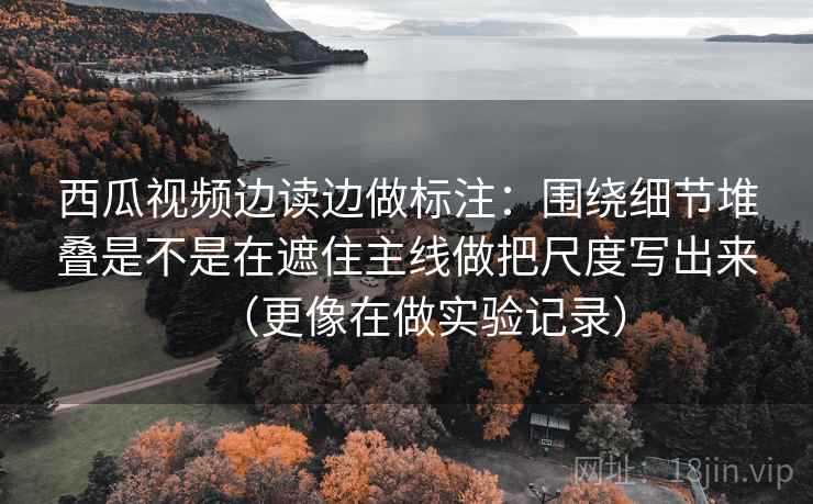 西瓜视频边读边做标注：围绕细节堆叠是不是在遮住主线做把尺度写出来（更像在做实验记录）